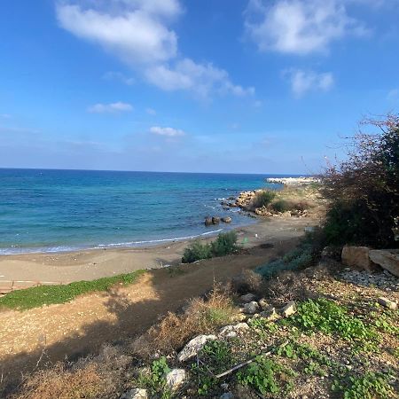 Olive Tree Villa - Protaras Exterior foto
